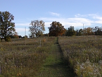  This is the southern half of the array.  A long, not terribly effective, NE Beverage crosses the view.